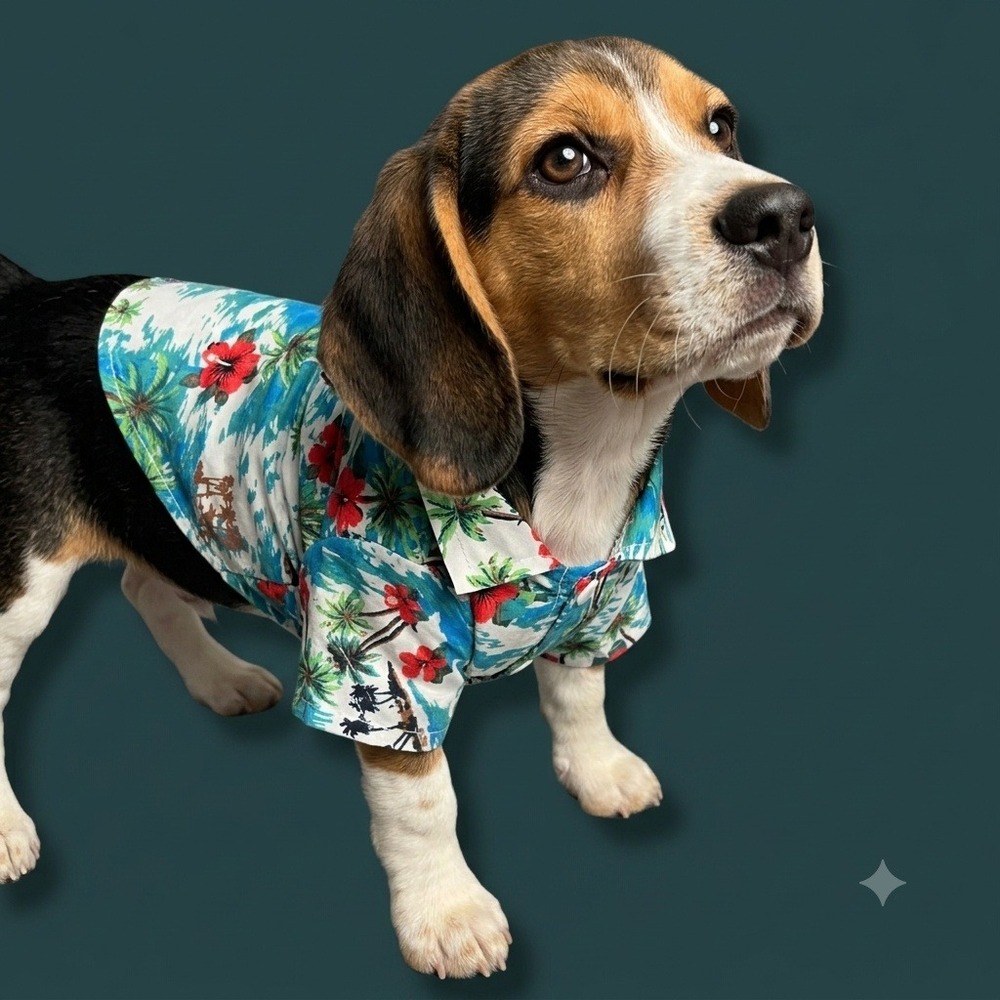 Tropical Palm Tree Hibiscus Pet Hawaiian Shirt Blue Size L Dog‎ Clothes